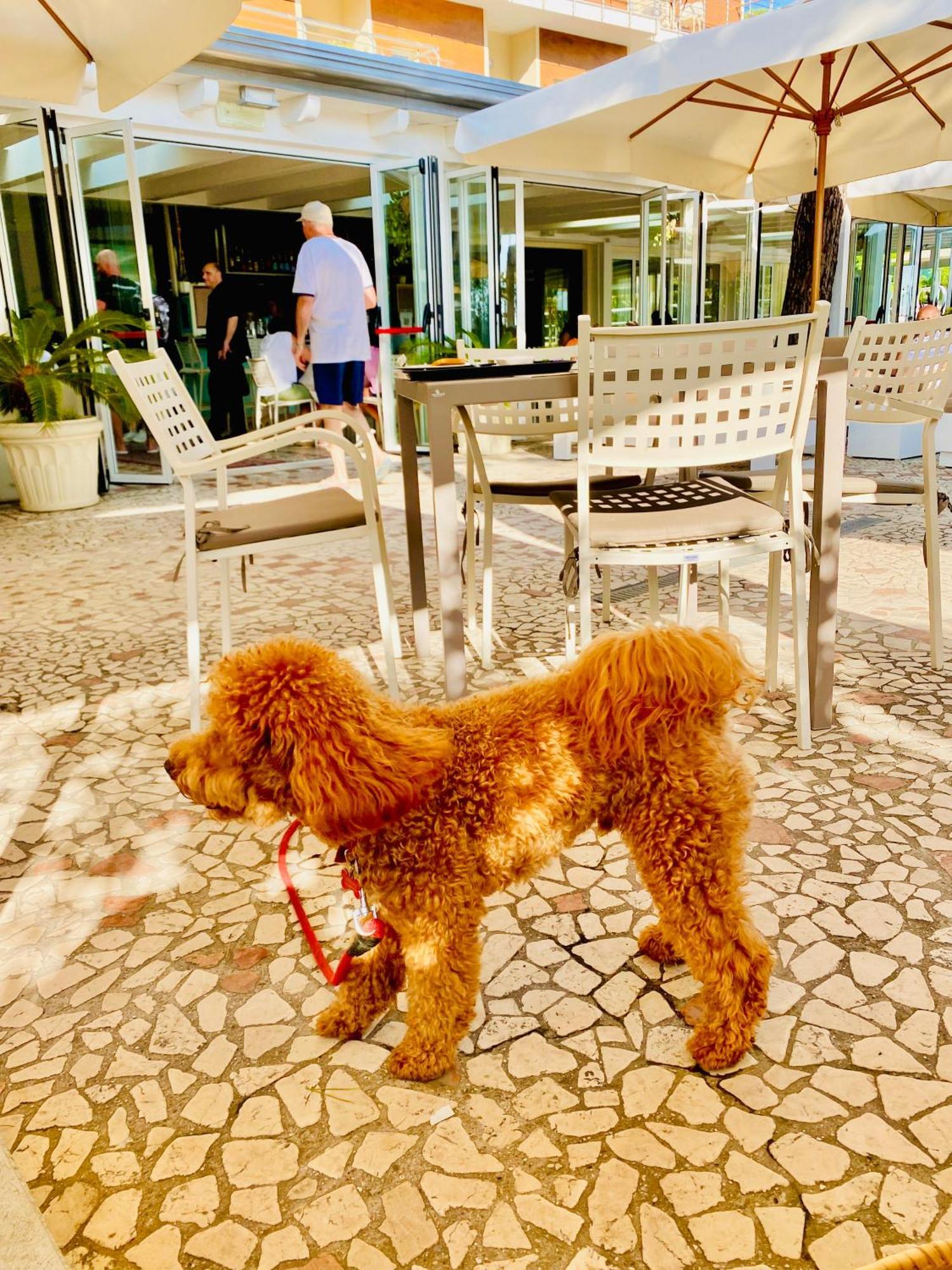 Hotel Franca Milano Marittima Eksteriør bilde